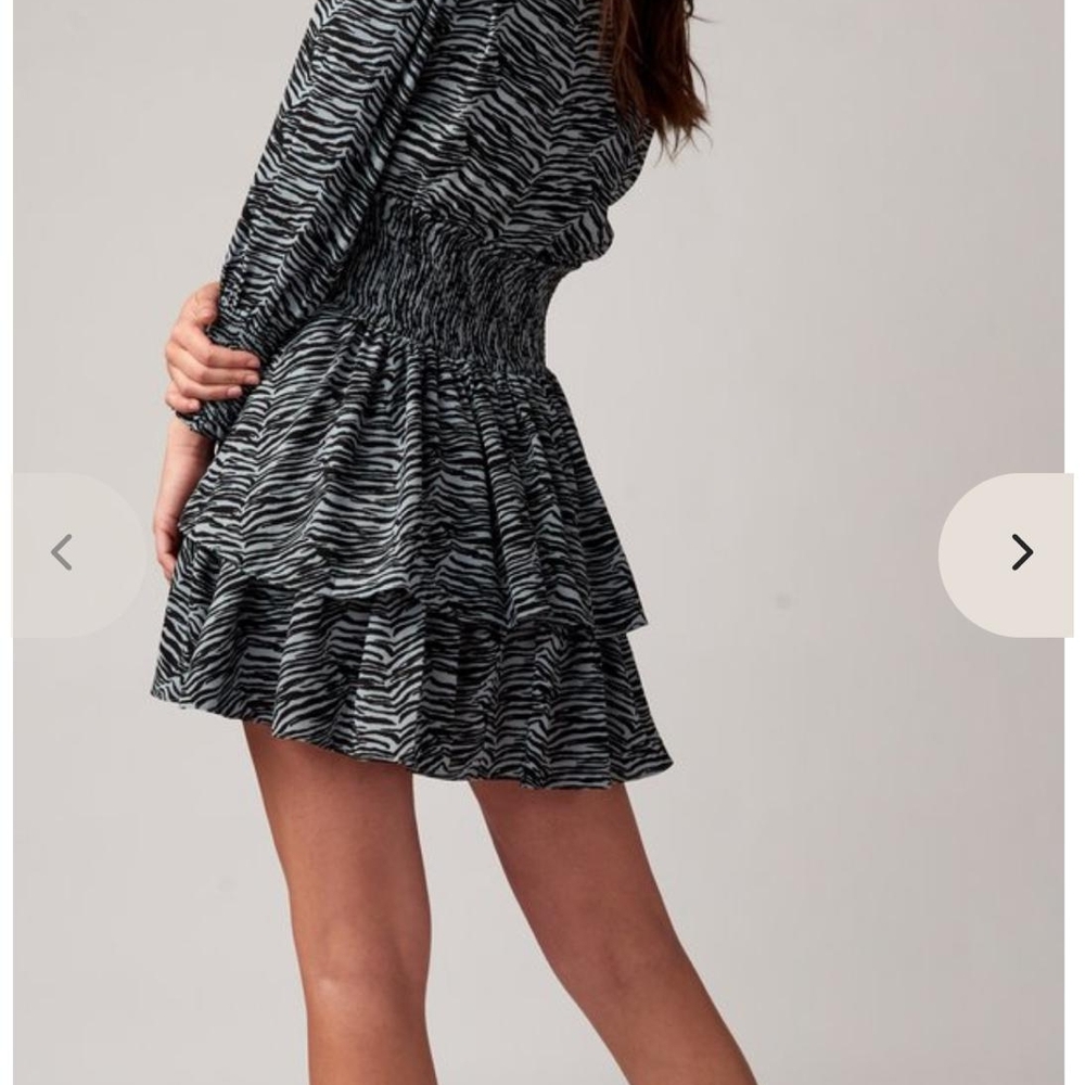 Chic Zebra Patterned Mini Dress - image 5